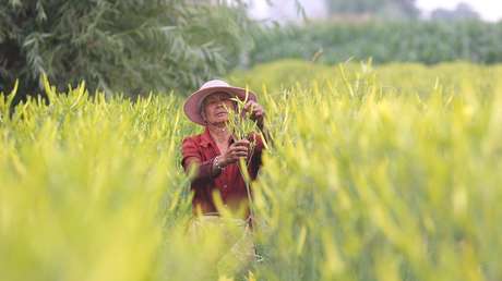 El PIB chino registra un alza del 5,3 % pese a las presiones externas