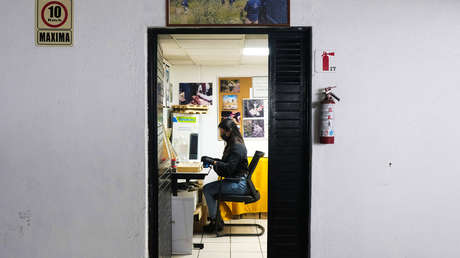 Drones y cerdos con ropa: la estrategia para dar con las fosas clandestinas en México