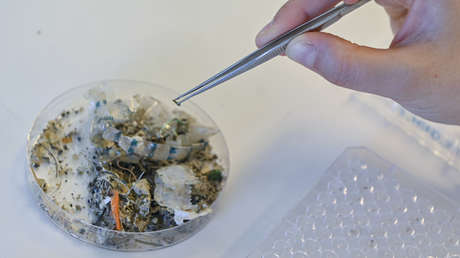 Revelan la asombrosa cantidad de microplásticos que inhalamos cada día