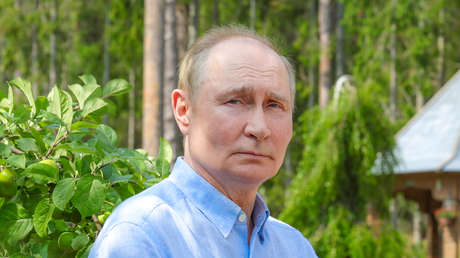 Putin: "Las negociaciones siempre son necesarias y siempre son importantes"