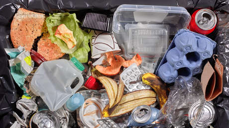 Capital latinoamericana anuncia multa a quien "le guste" hurgar en la basura