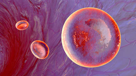 Imagen ilustrativa