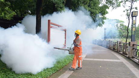 Qué se sabe sobre el brote de virus de chikungunya en China que ha dejado 7.000 casos