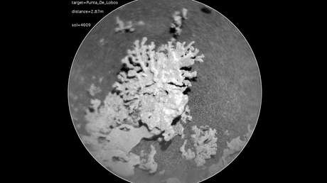 Coral de piedra: la extraña joya que esconde un cráter marciano