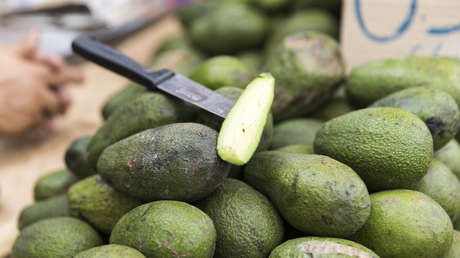 Un peligroso metal pone en la mira el aguacate en este país