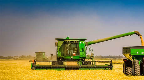 El arroz de la discordia: exigencia de Trump obstaculiza las negociaciones comerciales con Japón