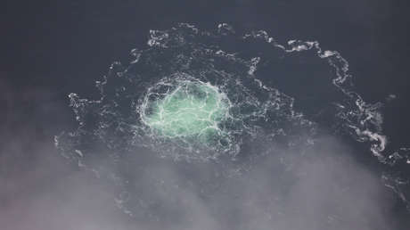 Nombran al principal sospechoso de privar a Europa del gas ruso barato