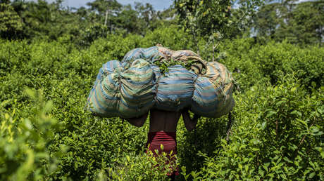 EE.UU. descertifica a Colombia por primera vez en tres décadas: ¿y ahora qué?