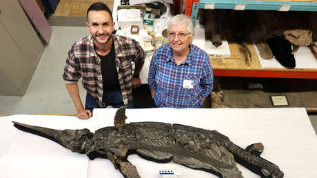 Descubren un excepcional esqueleto de un 'dragón espada' jurásico de hace 190 millones de años