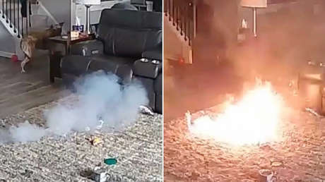 VIDEO: Perro incendia una casa tras morder una batería de litio