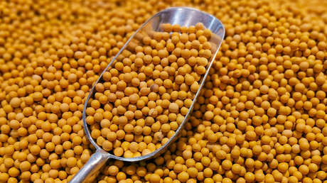 Los dos gigantes latinoamericanos que desplazan a EE.UU. en el mercado chino de soya