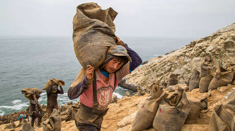 El día que las potencias propiciaron el fin del monopolio del guano peruano
