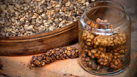 Los incómodos secretos detrás del café más exótico del mundo