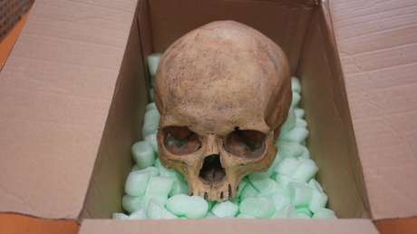 "Al final de mi vida, quiero hacer las paces": hombre confiesa un macabro crimen 60 años después