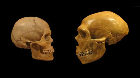¿Están entre nosotros? Los neandertales podrían no haberse extinguido realmente