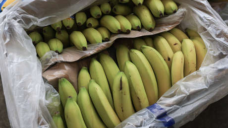 Trump exime una serie de productos alimenticios de los aranceles recíprocos