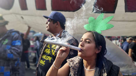 Revierten más de 3.600 condenas por posesión de marihuana en Brasil por esta razón