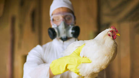 Fallece la primera persona del mundo infectada con una nueva cepa de gripe aviar