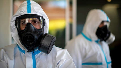 Alerta en España por el primer brote de peste porcina africana en 30 años