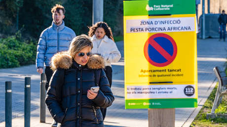 ¿Qué se sabe del retorno de la peste porcina africana a varios países de Europa?