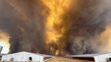"Demasiado tarde para evacuar": El oeste de Australia queda bajo sombría alerta por incendios