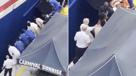 VIDEO: Activa su instinto materno para salvar a su hijo que cayó entre el barco y el muelle