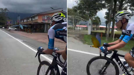 Alianza deportiva: guacamayo persigue a un ciclista en pleno entrenamiento (VIDEO)
