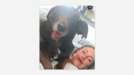 "Perdí mi vida": incendio causado por pirotecnia mata a 14 mascotas rescatadas en Argentina