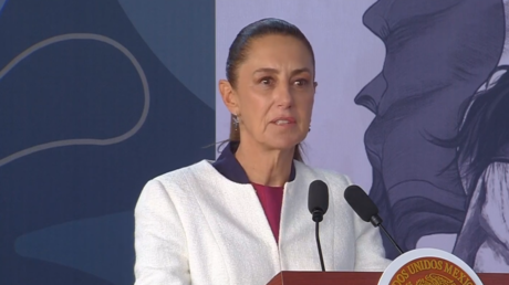 Sheinbaum presenta avances en el combate al narcotráfico en medio de amenazas de Trump