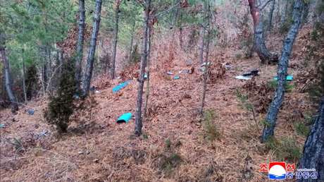 Pionyang derriba un dron espía surcoreano