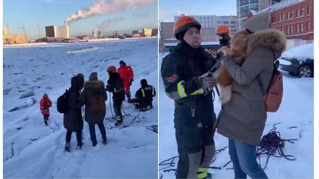 VIDEO: Rescatistas salvan a un perro de morir congelado