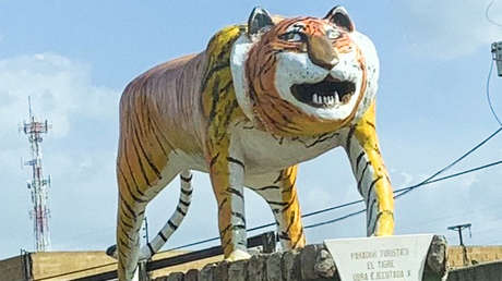 El 'Ñigre', la curiosa escultura venezolana que pasó de la burla a la viralidad (VIDEO)