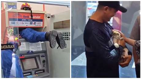 VIDEO: Gato queda atascado en un cajero automático y provoca un inusual rescate