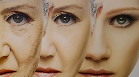 El prometedor método que podría devolver al cuerpo la capacidad para rejuvenecer células viejas