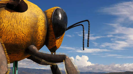 Captura de pantalla