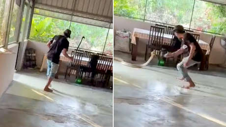 VIDEO: Un hombre arremete contra una enorme cobra real que ingresó a su casa