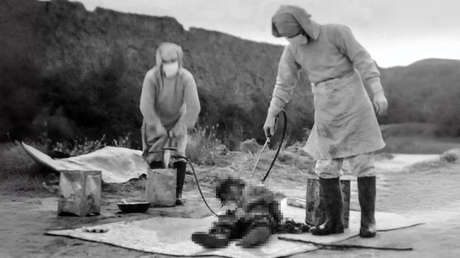 Armas biológicas y experimentos humanos: nuevas revelaciones en torno a la secreta Unidad 731