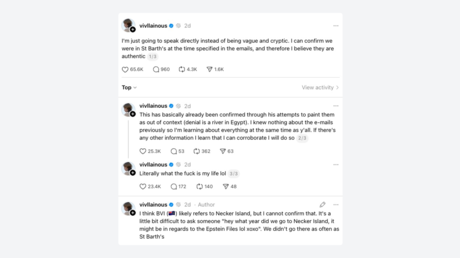 Hija trans de Musk cree que los correos de su padre con Epstein "son auténticos"