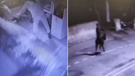 Insólito robo de joyería: rompe persiana con montacargas y huye en un burro (VIDEO)