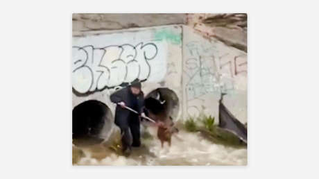 VIDEO: Dramático rescate bajo la lluvia de un perro atrapado en un desagüe