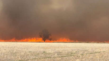 VIDEOS: Múltiples incendios forestales arrasan EE.UU. y provocan evacuaciones masivas