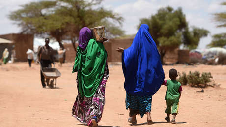 Una república autoproclamada podría darle a EE.UU. acceso a sus minerales y bases militares