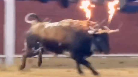 VIDEO: Indignación en redes por un toro con 'corona' de fuego en una corrida en España