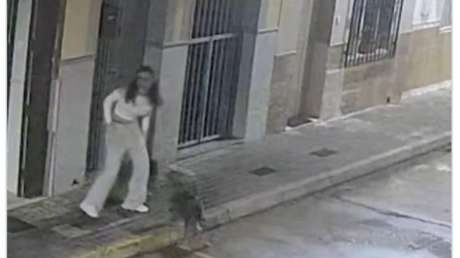 Así un perro logra frustrar el secuestro de su dueña (VIDEO)