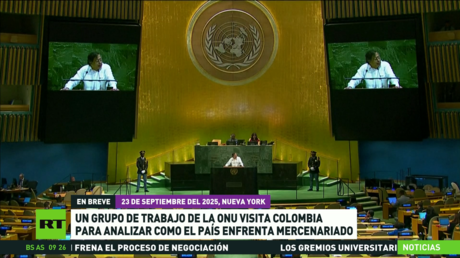 Un grupo de trabajo de la ONU visita Colombia para analizar como el país enfrenta mercenariado