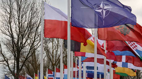 Trump a sus aliados: "¿Por qué estamos protegiendo a países que no nos protegen?"