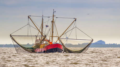 Hasta las aguas de Europa: el impacto de la guerra en Oriente Medio alcanza al sector pesquero de este país