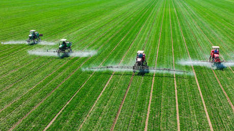 El frente oculto de la guerra en Irán que amenaza con llegar a los comedores de todo el mundo