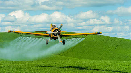 Así es cómo se puede reducir la exposición a los pesticidas