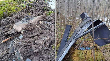 'Friendly fire': tres miembros de la OTAN admiten que sufrieron impactos de drones ucranianos